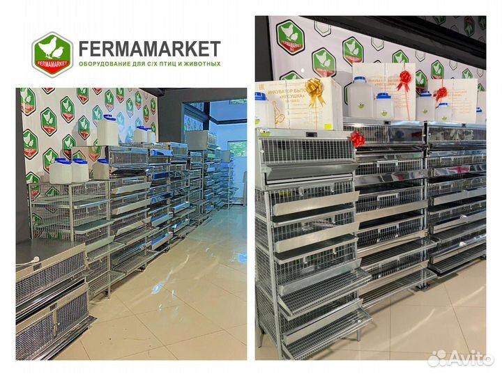 Клетки для перепелов Новосемейкино