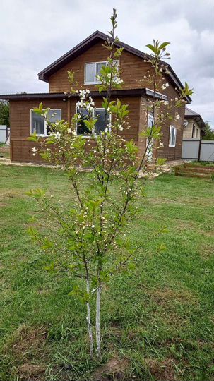 Дом 110 м² на участке 8 сот.