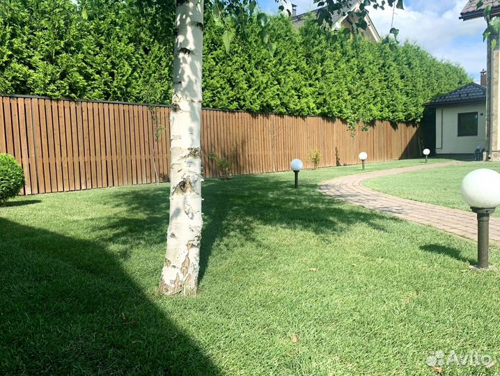 Рулонный газон