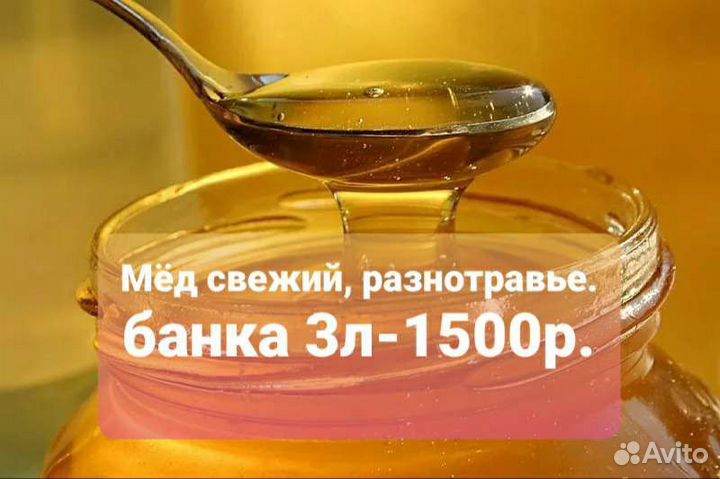 Мед