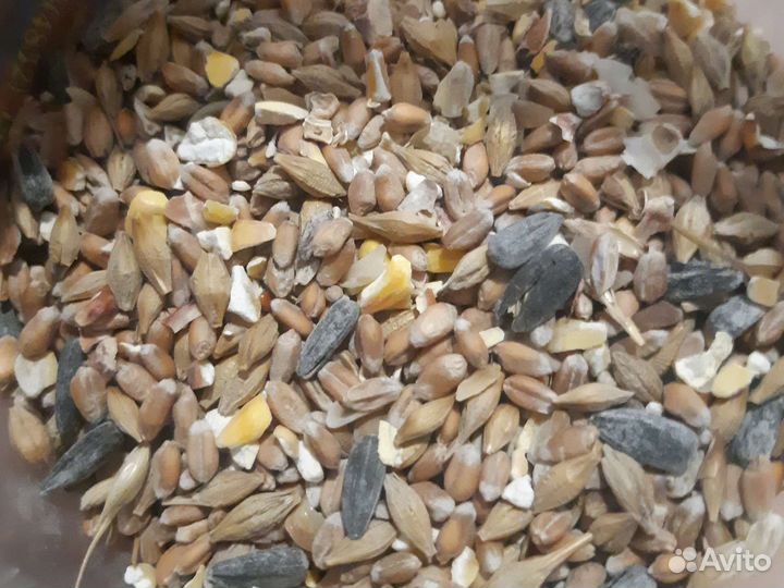 Корм для сельхоз птицы