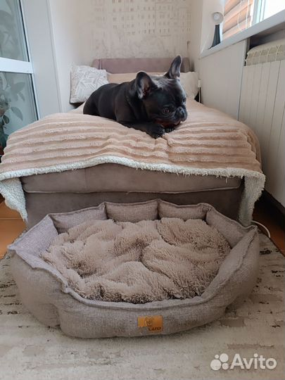 Лежанка для собак и кошек