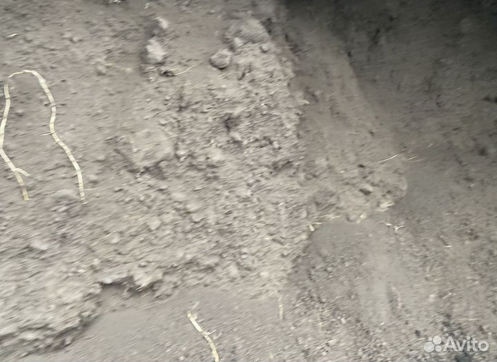 Чернозем