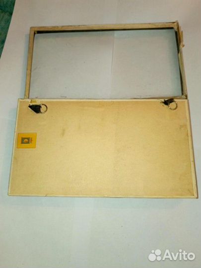 Скелет летучей мыши