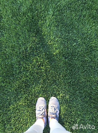 Рулонный газон / укладка газона