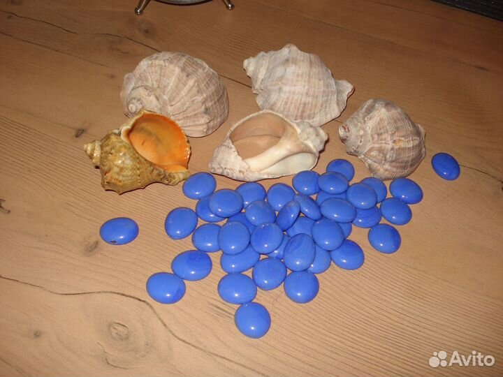 Ракушки и камушки