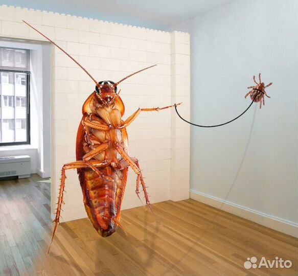 Средство от избавления тараканов дома