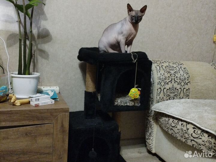 Домик для кошки