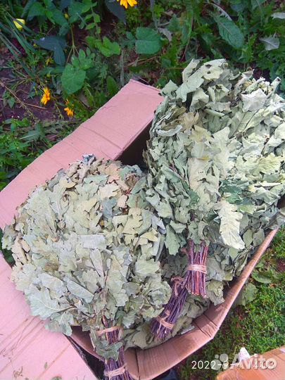 Банные веники