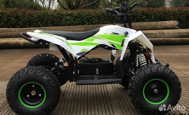 Детский электро квадроцикл motax gekkon 1300W