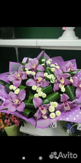 Абутилон роза,хризантема цветные, доставка букетов