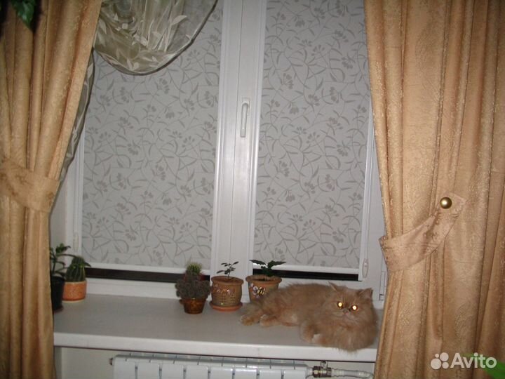 Жалюзи, рулонные шторы, римские шторы