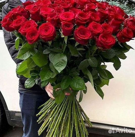 Высокие розы Гигантские розы 110