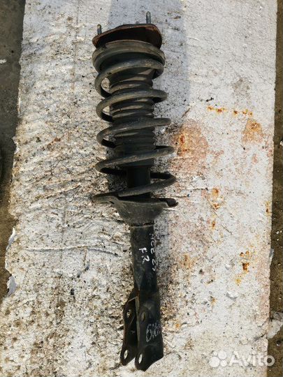 Стойка передняя правая Toyota Raum NCZ25