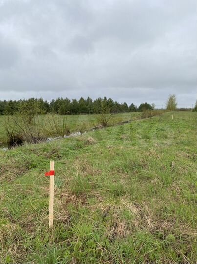 Участок 10 сот. (ИЖС)