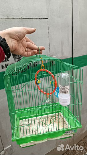 Клетка для попугая
