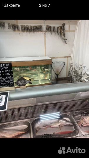 Продам готовый бизнес рыба