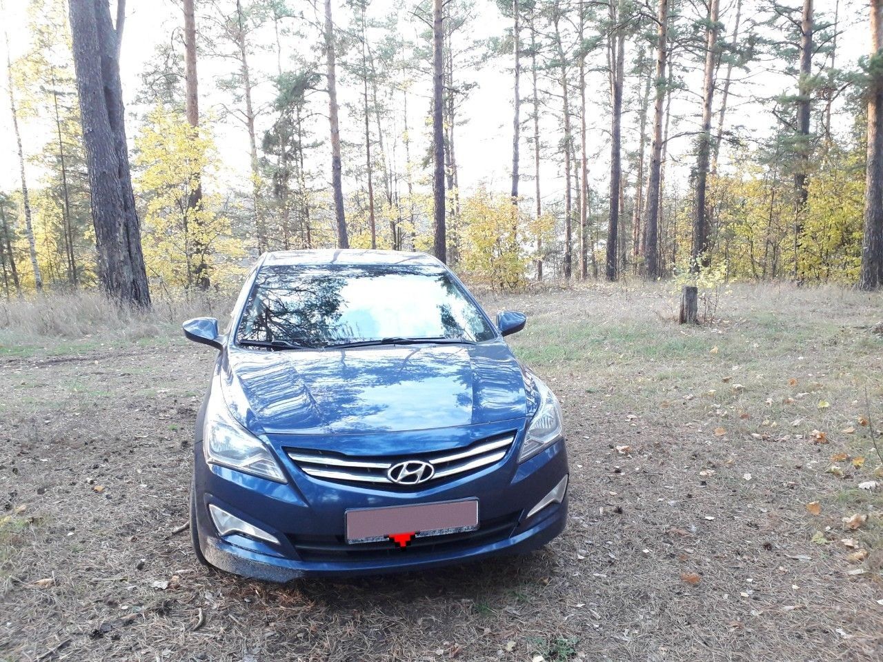 Hyundai Solaris: фото владельца