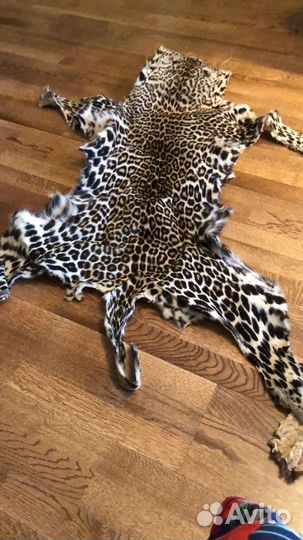 Шкура животного