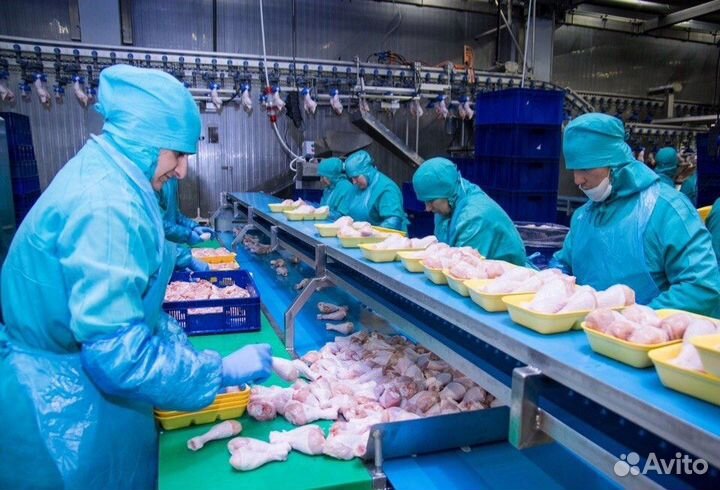 Укладчик-упаковщик пищевых продуктов без опыта