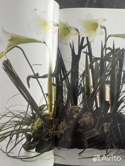 Цветочные инновации