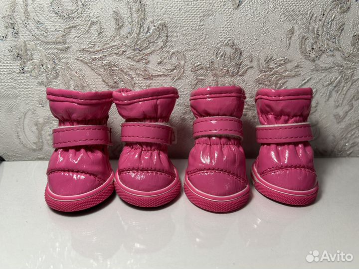 Обувь для собак