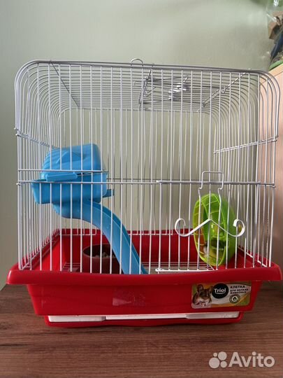 Клетка с джунгариками