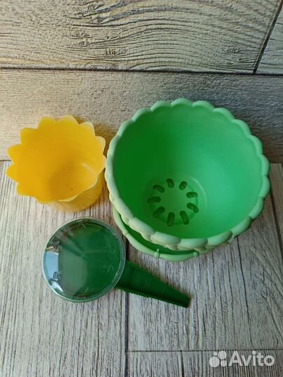 Гибискус персиковый, Тунбергия, Горшки