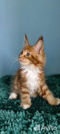 Яркое солнышко