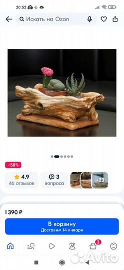 Обмен Горшок для суккулентов