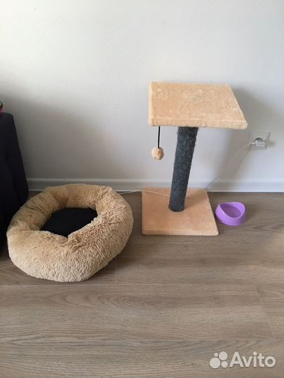 Когтеточка и лежанка