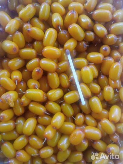 Облепиха ягоды