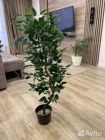 Искусственное дерево, зелень, цветы