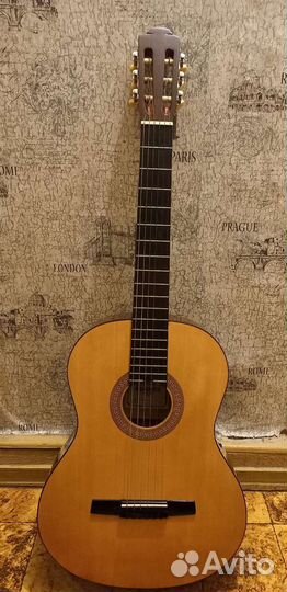 Акустическая гитара Hohner hc 06