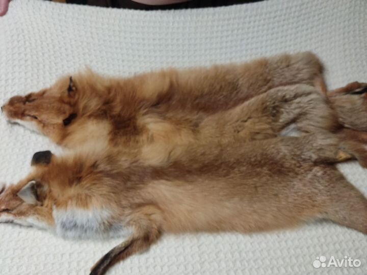 Шкурки красной лисы и шкурка енота