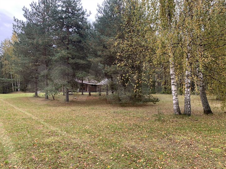 Участок 43 сот. (ИЖС)