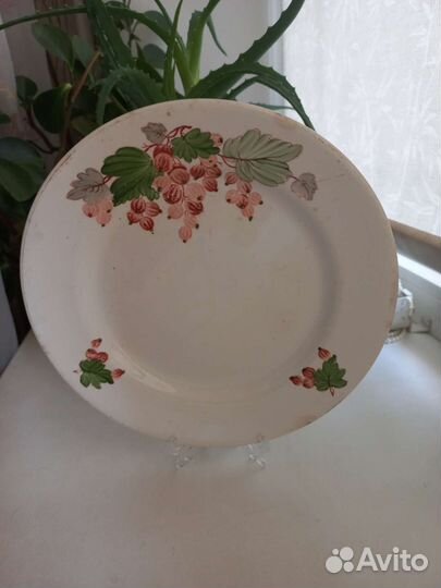 Тарелки зик (Конаково)