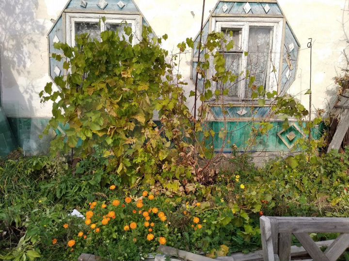 Дом 54,6 м² на участке 41 сот.