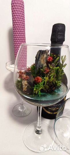 Флорариум Моссариум