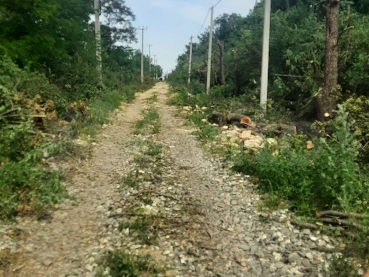 Участок 6 сот. (СНТ, ДНП)