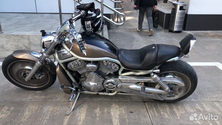 Harley Davidson v rod