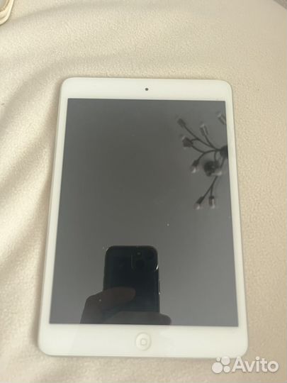 iPad mini
