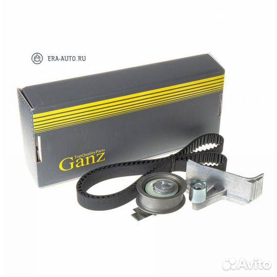 Ganz GIE34039 Ремкомплект грм