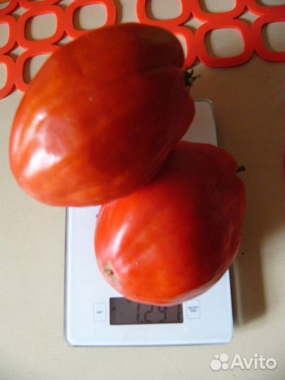 Коллекционные томаты. Семена. 500 сортов