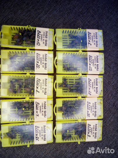 Пчеломатки Бакфаст