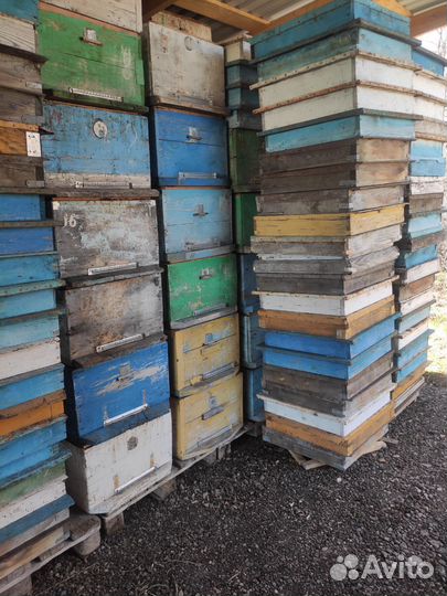 Продам ульи для пчел