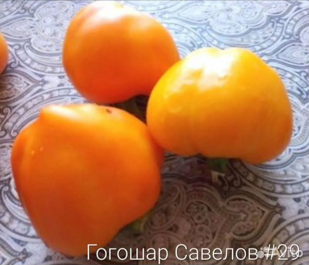 Семена сладкого перца