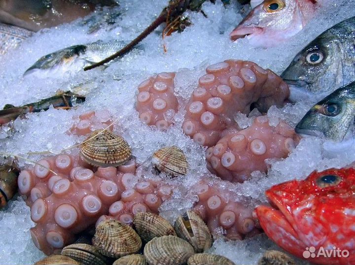 Готовый бизнес: рыба и морепродукты