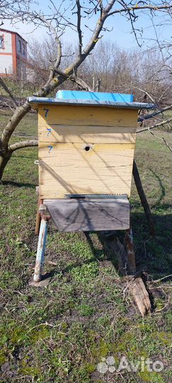 Продам ульи для пчел