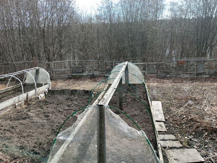 Дом 40,2 м² на участке 8,4 сот.